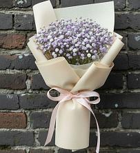Букет цветов из:  Гипсофила в Пижанке
