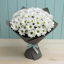 Букет цветов из:  Хризантемы #REPLACE_PRED# Пижанке