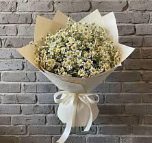 Букет цветов из:  Ромашки в Пижанке