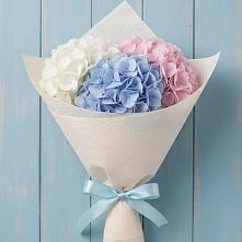 Букет цветов из:  Гортензия в Пижанке
