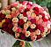 Букет 101 Разноцветная роза в Пижанке