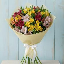 Букет цветов из:  Альстромерии в Пижанке