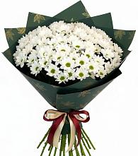 Букет цветов из:  Хризантемы #REPLACE_PRED# Пижанке