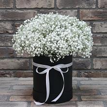 Цветочная композиция из Гипсофила в шляпной коробке в Пижанке