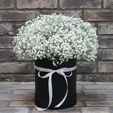 Цветочная композиция из Гипсофила в шляпной коробке в Пижанке