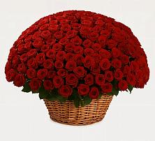 Премиум букет из: Розы в Пижанке